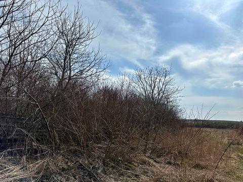 участок по адресу Галицкая ул., 18