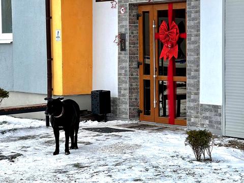 квартира за адресою Івана Величковського вул., 70а