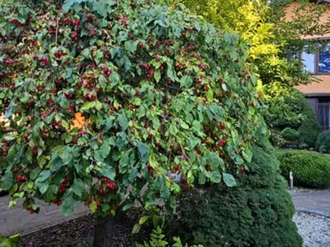 будинок за адресою Дніпро, Динамо вул.