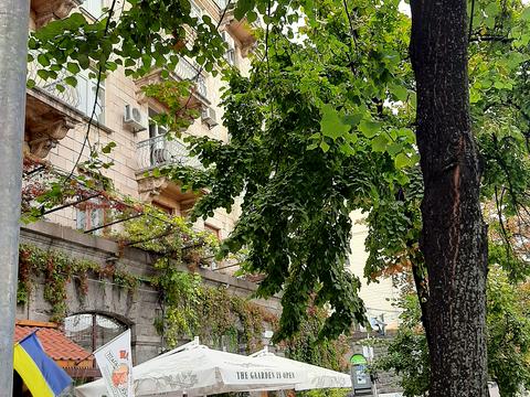 квартира за адресою Євгена Чикаленка вул. (Пушкінська), 2-4/7