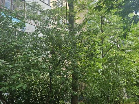 квартира за адресою Ентузіастів вул., 29/1