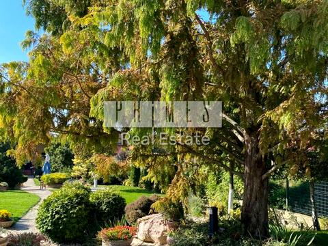 будинок за адресою с. Крюківщина, Виноградна вул.