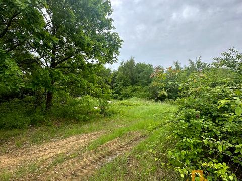 ділянка за адресою Собранецька