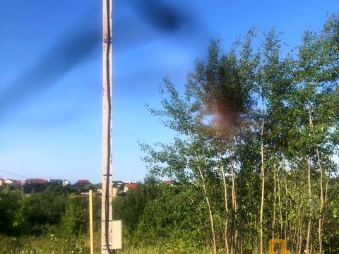 ділянка за адресою Ужгород, Ягідний