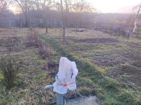 будинок за адресою Петрикова