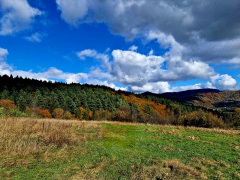 ділянка за адресою с. Рибник, 
