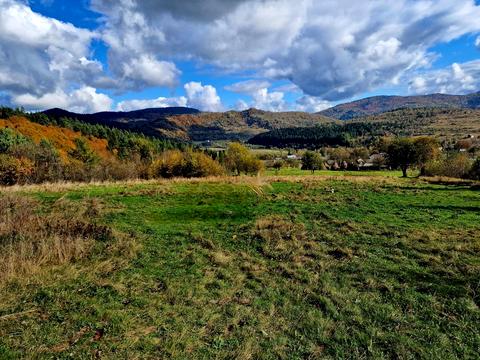 ділянка за адресою с. Рибник, 