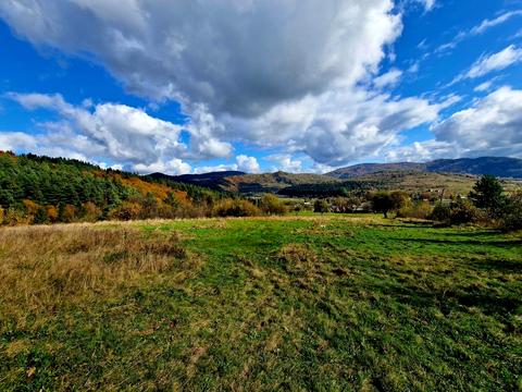 ділянка за адресою с. Рибник, 