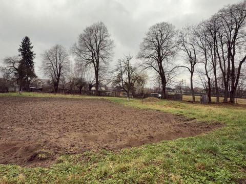 будинок за адресою с. Черніїв, Урожайна