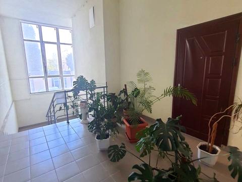 комерційна за адресою Незалежності вул., 11/5