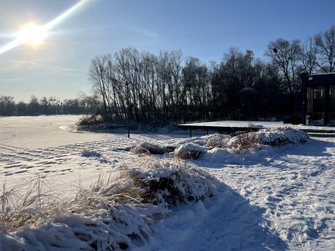 дом по адресу Шовковична