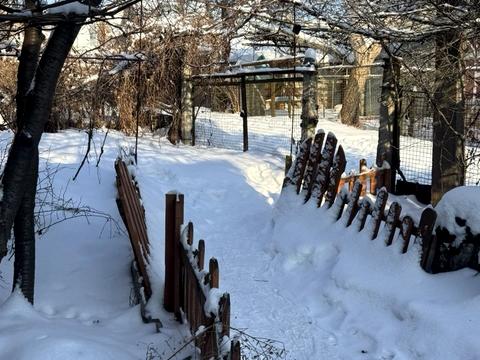 будинок за адресою Польова, 15