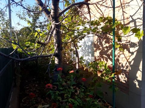 будинок за адресою Сосновий пров., 105