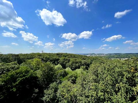 квартира по адресу Жасминовая ул., 5б