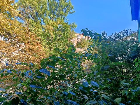 квартира по адресу Паньковская ул., 19