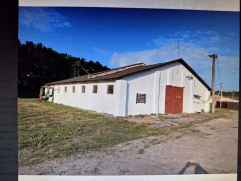 комерційна за адресою Ігоря Сікорського вул. (Белінського), 1