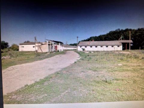 комерційна за адресою Ігоря Сікорського вул. (Белінського), 1