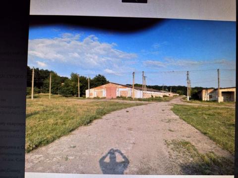 комерційна за адресою Ігоря Сікорського вул. (Белінського), 1