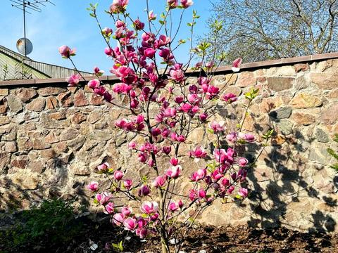 будинок за адресою Козацька вул.