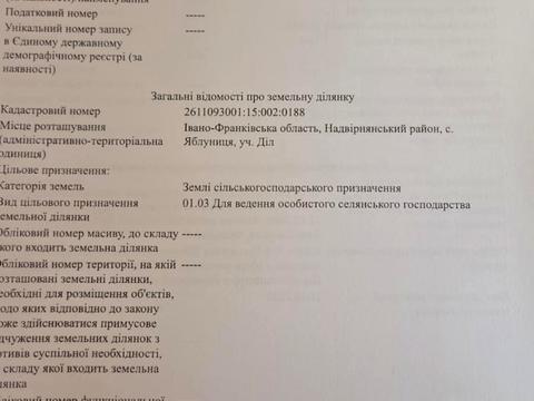 ділянка за адресою с. Яблуниця, Присілок  Діл