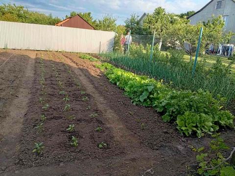 будинок за адресою Шкільна вул.