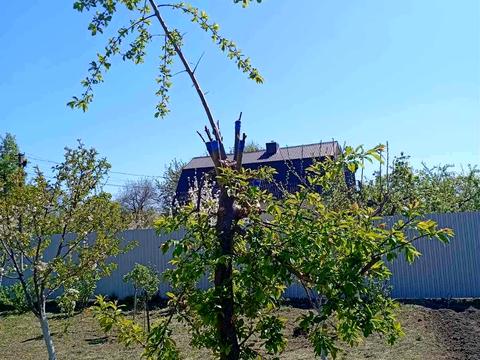 будинок за адресою Шкільна вул.