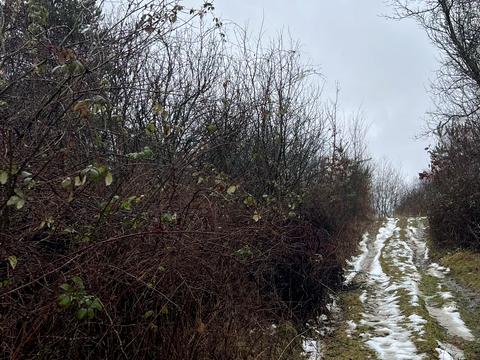 ділянка за адресою с. Оноківці, 