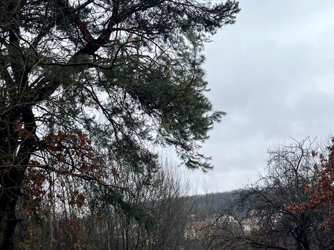 ділянка за адресою с. Оноківці, 