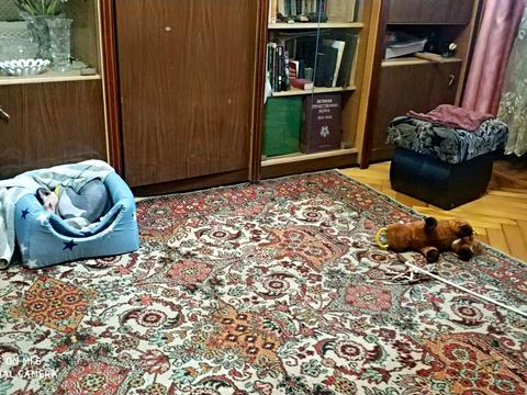 квартира за адресою Івана та Юрія Лип вул. (Гайдара), 19