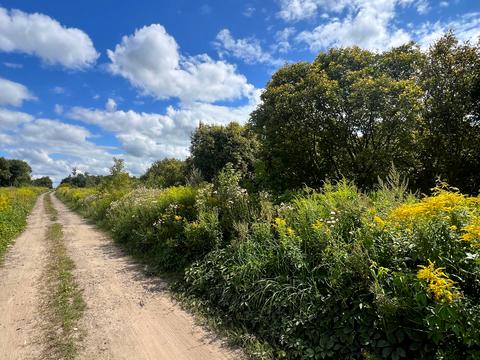ділянка за адресою с. Сокільники, 