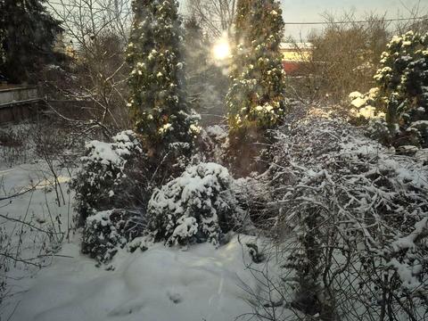 дом по адресу Лісова, 1