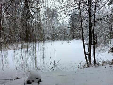 дом по адресу Приозерна