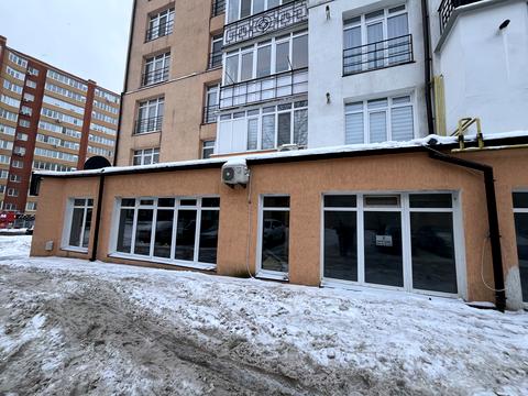 комерційна за адресою Панаса Мирного вул., 19А