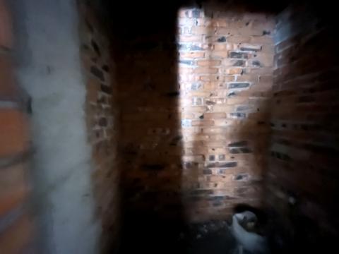 комерційна за адресою Панаса Мирного вул., 19А