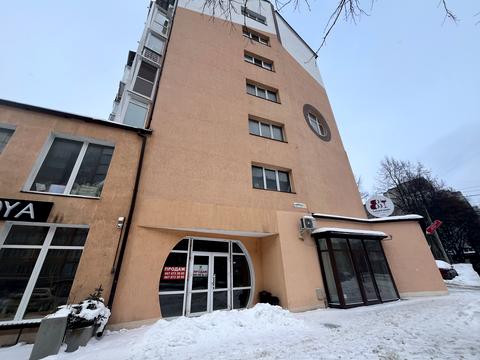 комерційна за адресою Панаса Мирного вул., 19А