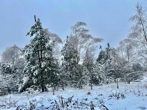 ділянка за адресою 