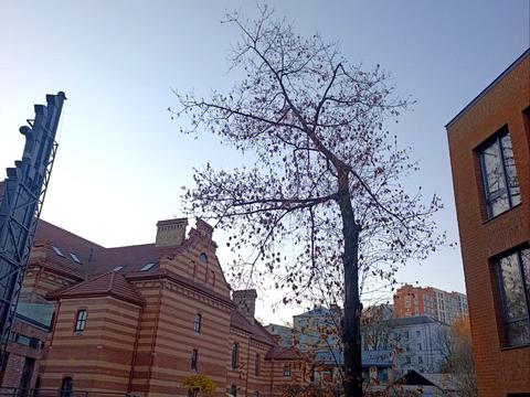 квартира за адресою Львів, Клепарівська вул., 15