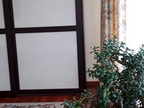 дом по адресу Балтиморская ул. (Посмитного)