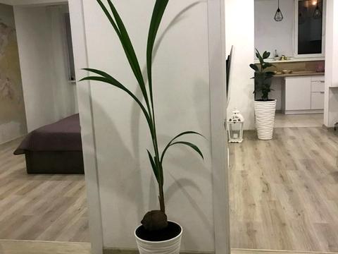 квартира за адресою Іскринський пров., 19б