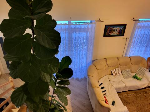 дом по адресу Шевченка, 16