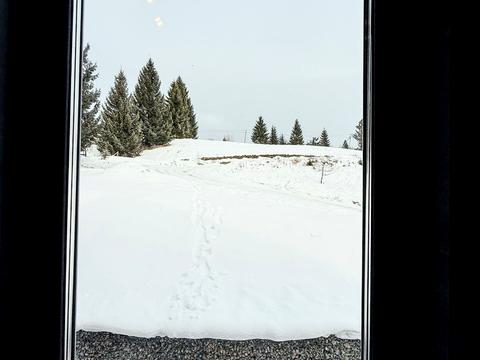 дом по адресу Горішків