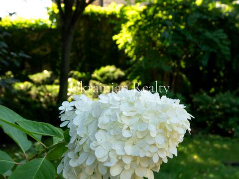 будинок за адресою Звіринецька вул., 24а