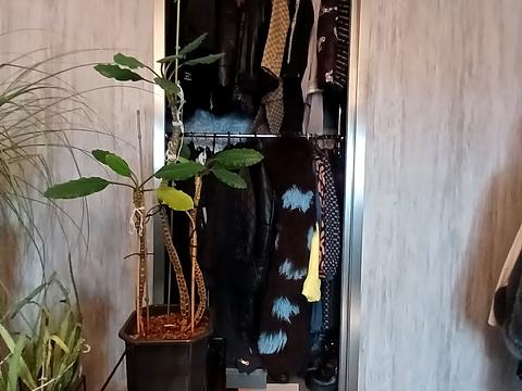 квартира по адресу Владимира Ивасюка ул., 54