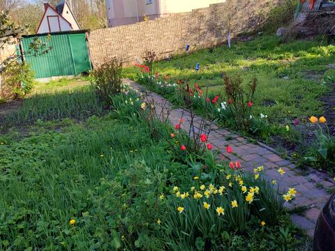 будинок за адресою Вікторія, 26