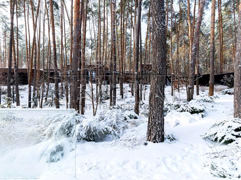 дом по адресу с. Гнедин, Центральная ул., 100