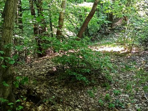 участок по адресу Кавказская ул.