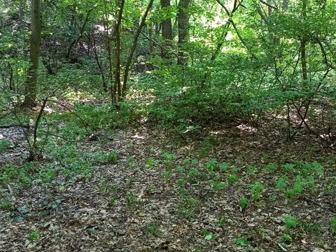 участок по адресу Кавказская ул.