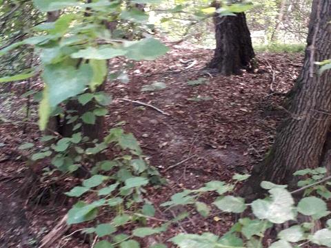 участок по адресу Кавказская ул.