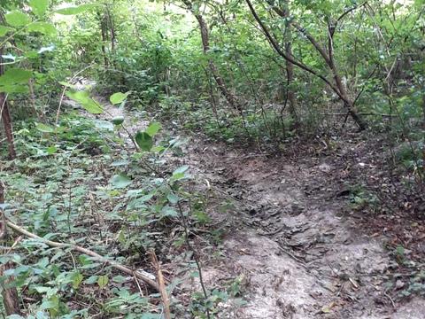 участок по адресу Кавказская ул.