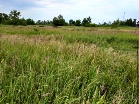 ділянка за адресою с. Фонтанка, 